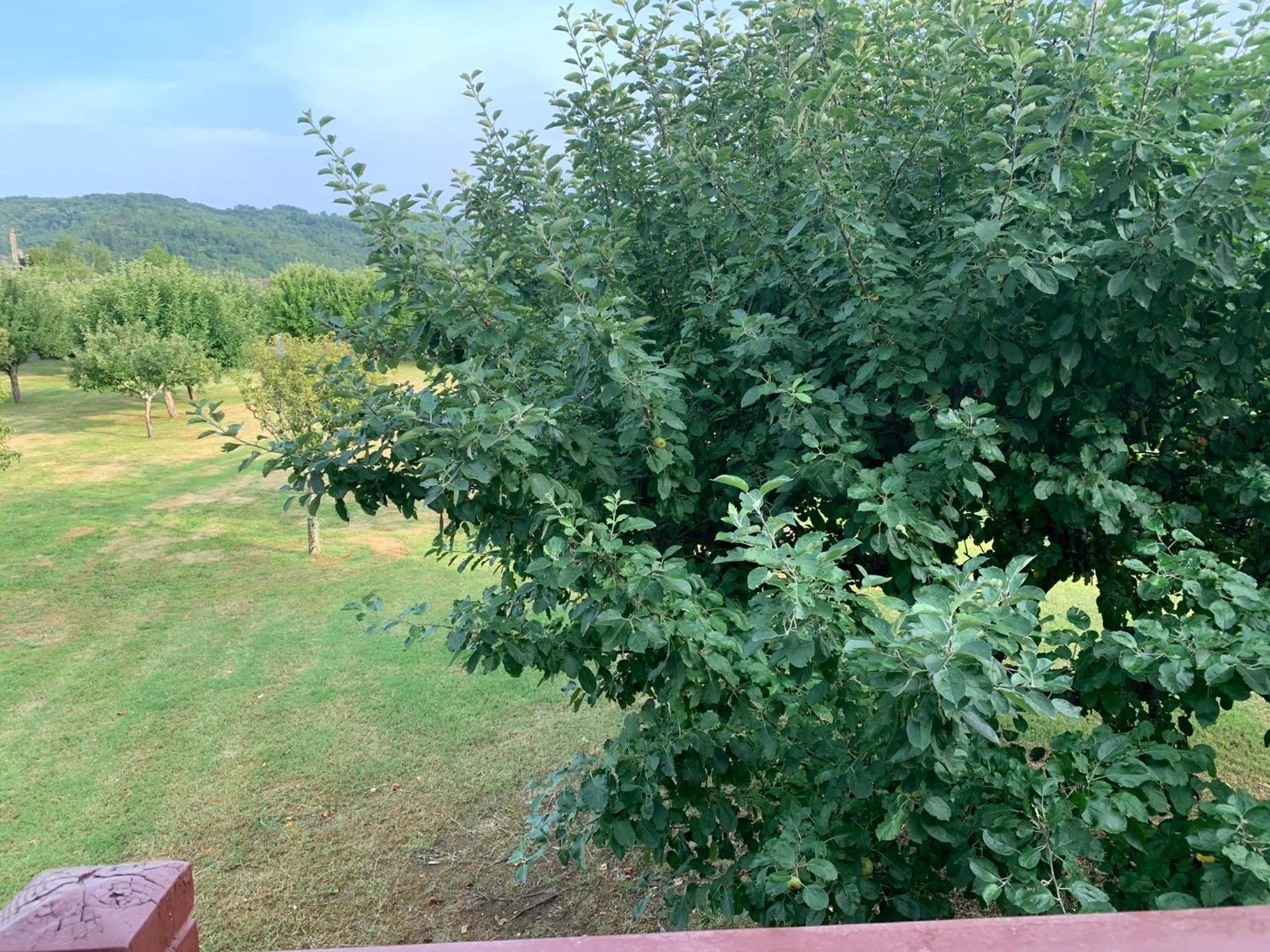 Superbe Duplex Les Belles Rives Argentat Leilighet Eksteriør bilde